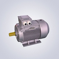 D&Z Motor products